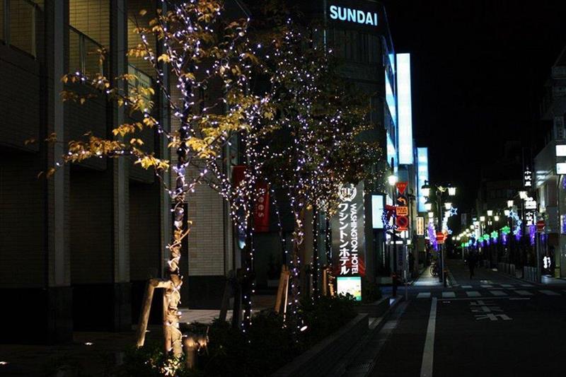 Tachikawa Washington Hotel Экстерьер фото